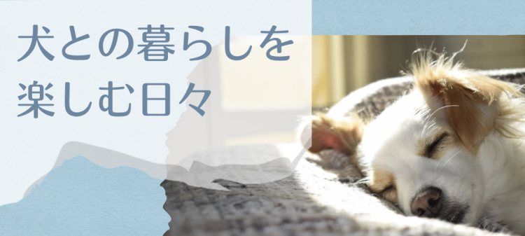 犬との暮らしを楽しむ日々